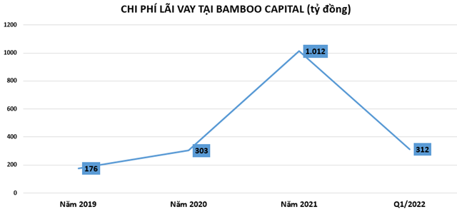 H&#224;ng loạt kế hoạch &#39;khủng&#39; nhưng lại kh&#225;t vốn, Bamboo Capital đang ra sao? - Ảnh 2