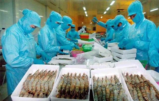 T&ocirc;m Việt sang Mỹ chịu mức thuế cao nhất 19 năm qua, l&ecirc;n tới hơn 35%.