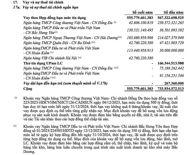 C&aacute;c khoản vay của CADI-SUN tại ng&acirc;n h&agrave;ng