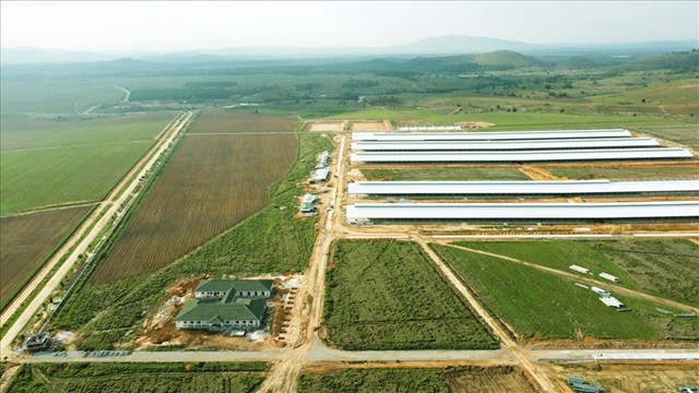 Tổ hợp trang trại tại L&agrave;o của Vinamilk đ&atilde; ho&agrave;n thiện c&aacute;c hạng mục x&acirc;y dựng cơ bản của cụm trang trại đầu ti&ecirc;n, dự kiến đi v&agrave;o hoạt động v&agrave;o đầu năm 2022.