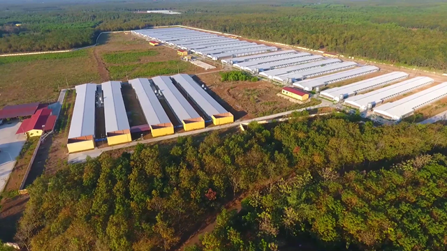 Hệ thống chuồng trại nu&ocirc;i g&agrave; bố mẹ, g&agrave; l&ocirc;ng m&agrave;u của C&ocirc;ng ty TNHH Dabaco B&igrave;nh Phước (thuộc Tập đo&agrave;n Dabaco). Ảnh: Dabaco&nbsp;&nbsp;