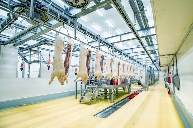 Dây chuyền sản xuất thịt ủ m&aacute;t chuẩn Âu tại tổ hợp chế biến thịt MEATDeli tại H&agrave; Nam&nbsp;
