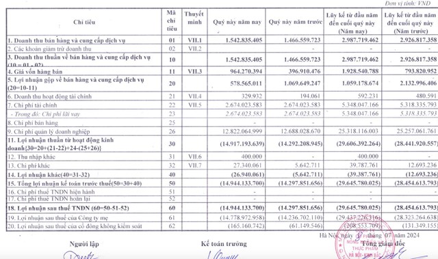 B&aacute;o c&aacute;o t&agrave;i ch&iacute;nh qu&yacute; 2/2024