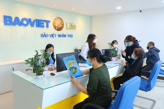 BVH mất suất VN30: Lộ r&#245; điểm yếu thanh khoản kh&#243; gỡ - Ảnh 1