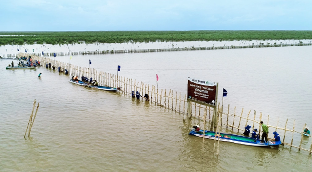 C&aacute;c hoạt động trồng c&acirc;y được Vinamilk triển khai đều k&ecirc;u gọi sự tham gia của nh&acirc;n vi&ecirc;n, đo&agrave;n vi&ecirc;n thanh ni&ecirc;n, cộng đồng&hellip;&nbsp;