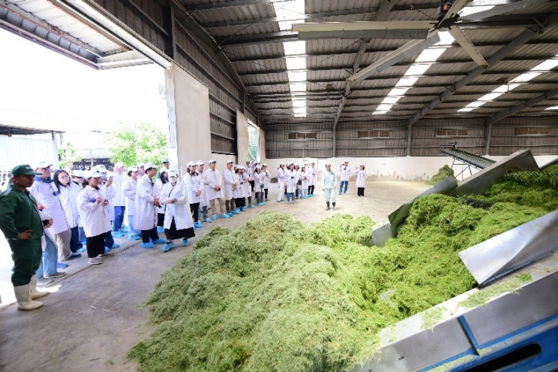 &quot;Mở kho&#225; tự nhi&#234;n&quot;: Vinamilk biến r&#224;o cản th&#224;nh v&#242;ng tuần ho&#224;n xanh tại trang trại sinh th&#225;i - Ảnh 7