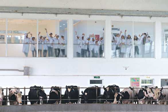 Vinamilk v&#224; Quỹ sữa Vươn cao Việt Nam tổ chức nhiều hoạt động đồng h&#224;nh nh&#226;n dịp 15 th&#224;nh lập - Ảnh 6