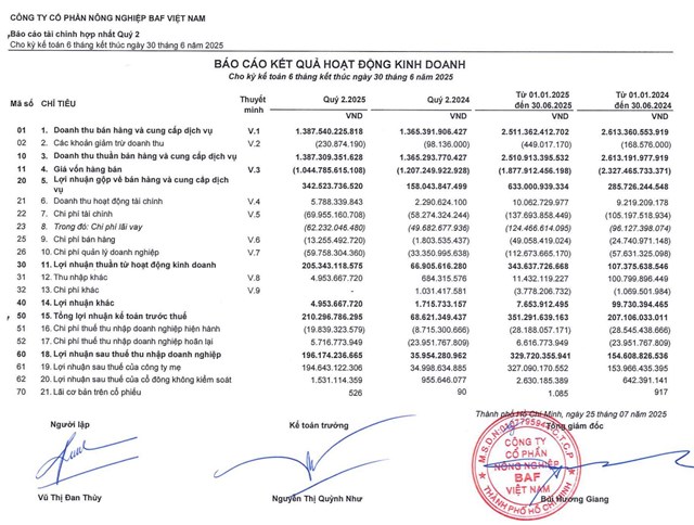 B&aacute;o c&aacute;o t&agrave;i ch&iacute;nh hợp nhất qu&yacute; II/2025.