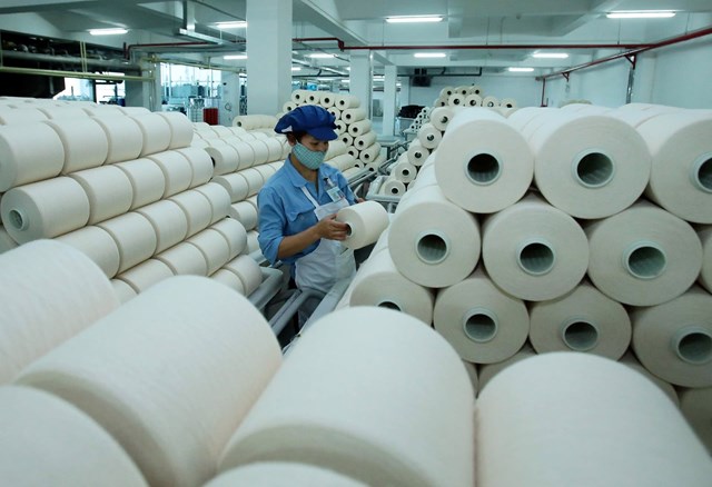 Ch&#234;nh lệch tỷ gi&#225; đẩy Sợi Thế Kỷ lỗ qu&#253; thứ 2 li&#234;n tiếp - Ảnh 1