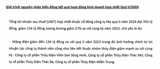 Giải tr&igrave;nh biến động lợi nhuận của REE Corp