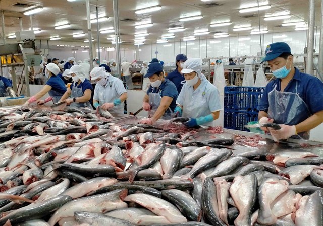 Hai doanh nghiệp c&aacute; tra tiếp tục dẫn đầu bảng xếp hạng lợi nhuận ng&agrave;nh thuỷ sản