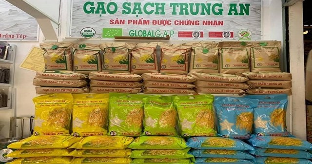 Nửa đầu năm 2025, đi c&ugrave;ng với sự xuống dốc của doanh thu, Gạo Trung An b&aacute;o lỗ sau thuế 22,4 tỷ đồng, sụt giảm mạnh so với c&ugrave;ng kỳ năm trước.