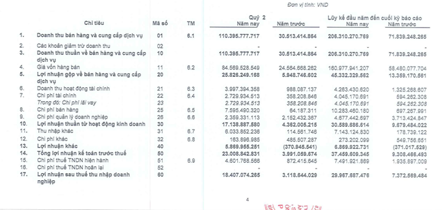 Lợi nhuận sau thuế qu&yacute; II/2023 của Kho&aacute;ng sản miền Đ&ocirc;ng AHP cao gấp gần 6 lần so với c&ugrave;ng kỳ. Nguồn: BCTC qu&yacute; II/2023 Kho&aacute;ng sản miền Đ&ocirc;ng AHP