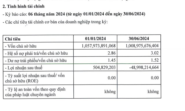 T&igrave;nh h&igrave;nh t&agrave;i ch&iacute;nh 6 th&aacute;ng đầu năm 2024 của Danh Việt