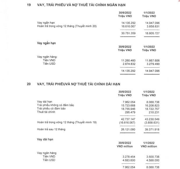 Chi tiết nợ vay tại MSN (nguồn: BCTC hợp nhất qu&yacute; 2/2022)