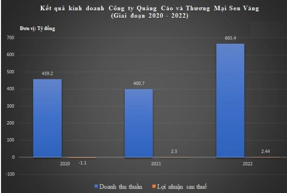 Kết quả kinh doanh giai đoạn 2020-2022 của Sen V&agrave;ng.