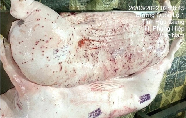 C.P. Việt Nam thời gian qua cũng đối mặt với những l&ugrave;m x&ugrave;m li&ecirc;n quan đến vấn đề an to&agrave;n thực phẩm. Cuối th&aacute;ng 5 v&agrave; đầu th&aacute;ng 6/2025, dư luận v&agrave; thị trường theo d&otilde;i s&aacute;t sao vụ việc &ocirc;ng Liễu Qu&yacute; Ng&acirc;n