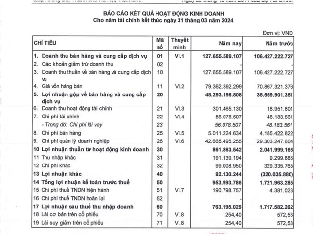 Từ 1/4/2023 đến 31/3/2024, Meeyland ghi nhận lợi nhuận sau thuế vỏn vẹn 763,1 triệu đồng.