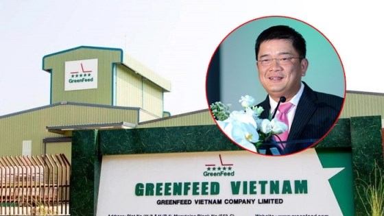 &Ocirc;ng L&yacute; Anh Dũng l&agrave; Chủ tịch HĐQT, ki&ecirc;m Tổng gi&aacute;m đốc của GreenFeed Việt Nam.