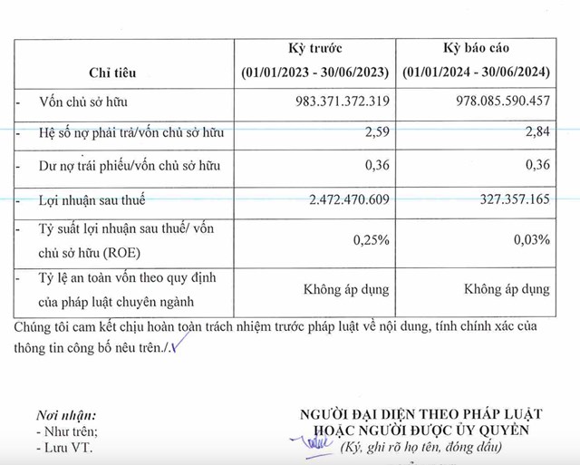 T&igrave;nh h&igrave;nh t&agrave;i ch&iacute;nh của Đầu tư DHA trong nửa đầu năm 2024.