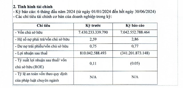 T&igrave;nh h&igrave;nh t&agrave;i ch&iacute;nh 6 th&aacute;ng đầu năm 2024 của BIM Land