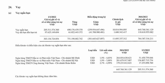 Kết th&uacute;c ng&agrave;y 30/6/2022 Vinatex đang vay ngắn hạn hơn 645 tỷ đồng tại 2 chi nh&aacute;nh Ng&acirc;n h&agrave;ng Agribank v&agrave; Vietinbank, khoản vay n&agrave;y tăng 3,1 lần so với c&ugrave;ng kỳ.