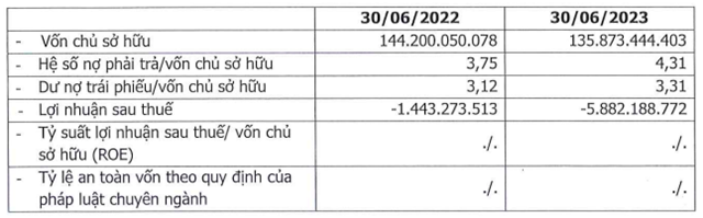 C&aacute;c chỉ ti&ecirc;u t&agrave;i ch&iacute;nh cơ bản của Marina Mekong trong 6 th&aacute;ng đầu năm 2023.