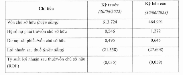 C&aacute;c chỉ ti&ecirc;u t&agrave;i ch&iacute;nh cơ bản của Địa ốc Ho&agrave;ng C&aacute;t b&aacute;n ni&ecirc;n 2023.