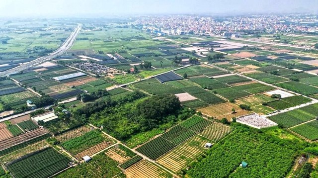 Đất nền Hưng Y&ecirc;n ghi nhận mức tăng trưởng nổi bật ở c&aacute;c tỉnh ph&iacute;a Bắc