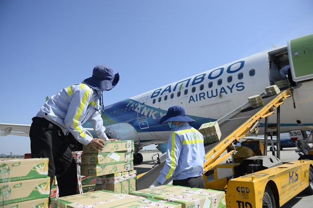 Bamboo Airways vận chuyển h&agrave;ng cứu trợ tới miền Trung. &nbsp;