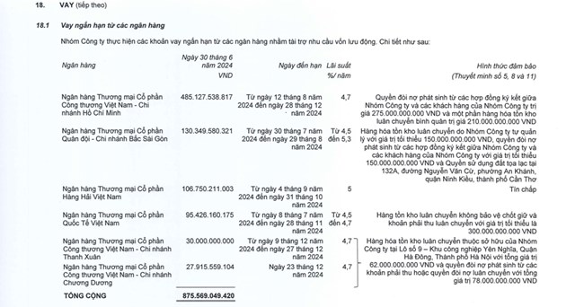 Tổng nợ vay của Dược phẩm Trung ương Codupha l&agrave; hơn 905,1 tỷ đồng, chiếm 45,7% nợ phải trả