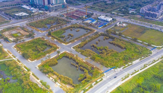 Tăng cọc đấu gi&#225; đất l&#234;n 100% mức khởi điểm, 5 năm kh&#244;ng được b&#225;n? - Ảnh 6