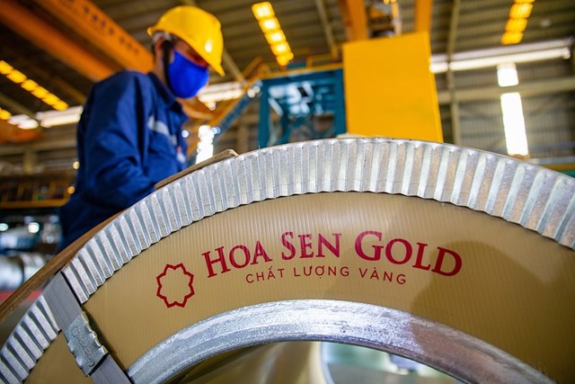 Hoa Sen giải thể c&#244;ng ty cảng quốc tế sau 6 năm &#39;nằm tr&#234;n giấy&#39; - Ảnh 1