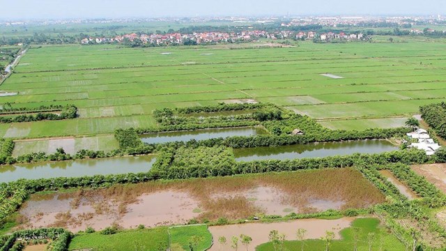 Sổ đỏ đất n&#244;ng nghiệp hết hạn sử dụng c&#243; phải trả lại đất? - Ảnh 1