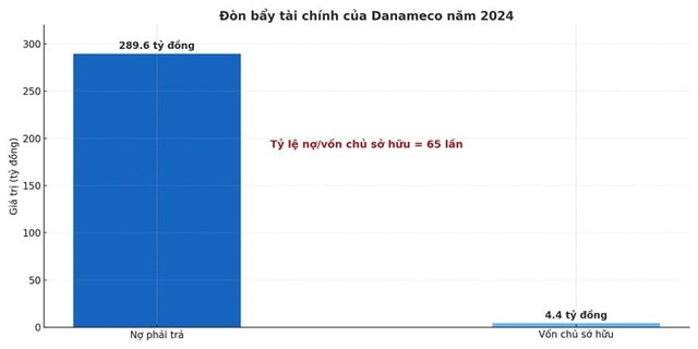Hệ số nợ tr&ecirc;n vốn chủ sở hữu của Danameco đang rất cao