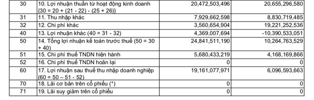 Kết quả kinh doanh của Di Động Việt