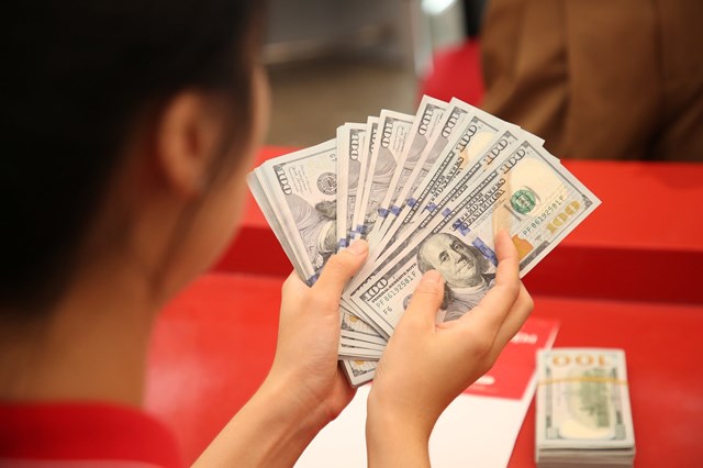 Kiểm so&#225;t chặt mua b&#225;n ngoại tệ tại TP.HCM v&#224; Đồng Nai - Ảnh 1