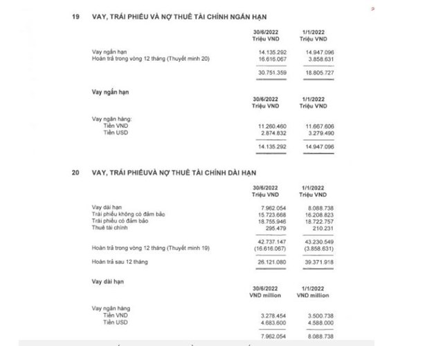 Chi tiết nợ vay tại MSN (nguồn: BCTC hợp nhất qu&yacute; 2/2022)