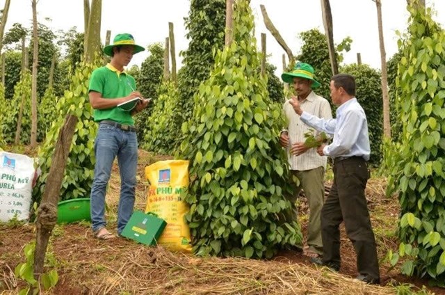 Sửa Luật thuế GTGT cần đảm bảo c&ocirc;ng bằng đối với c&aacute;c doanh nghiệp c&ugrave;ng ng&agrave;nh nghề sản xuất h&agrave;ng h&oacute;a, cung ứng dịch vụ chịu thuế gi&aacute; trị gia tăng 5%...