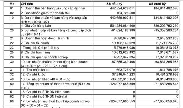 Kết quả kinh doanh của CTCP Găng Việt trong năm 2023