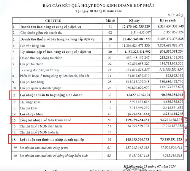 B&aacute;o c&aacute;o t&agrave;i ch&iacute;nh hợp nhất qu&yacute; II/2024