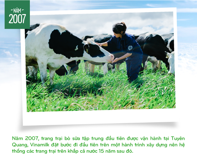 Vinamilk: 15 năm x&#226;y hệ thống trang trại b&#242; sữa với &#39;bộ sưu tập&#39; ti&#234;u chuẩn quốc tế - Ảnh 2