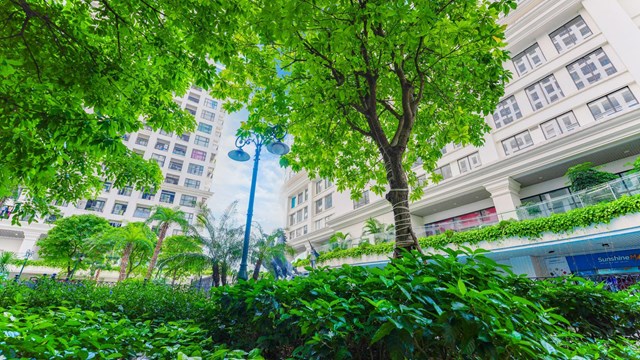 Vườn ban mai Sunshine Garden l&agrave; nơi gi&uacute;p cư d&acirc;n &ldquo;xả stress&rdquo;, t&aacute;i tạo năng lượng t&iacute;ch cực