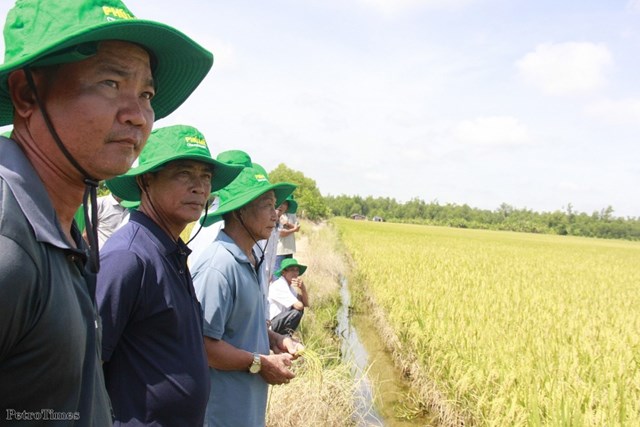 C&aacute;c chuy&ecirc;n gia cho biết, khi &aacute;p thuế GTGT ph&acirc;n b&oacute;n 5% th&igrave; người n&ocirc;ng d&acirc;n được hưởng lợi nhiều nhất. &nbsp;