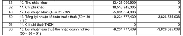 Trong hai năm 2022, 2023, tổng doanh thu của C&ocirc;ng ty TNHH Hưng Thịnh Ph&aacute;t đạt hơn 312 tỷ đồng nhưng đ&oacute;ng thuế TNDN bằng 0