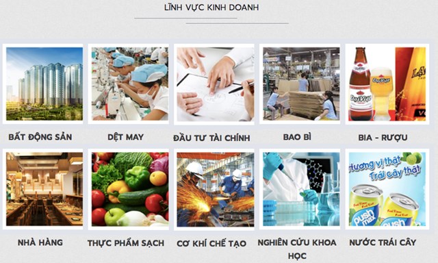 C&aacute;c lĩnh vực hoạt động của C&ocirc;ng ty cổ phần Tập đo&agrave;n Hương Sen