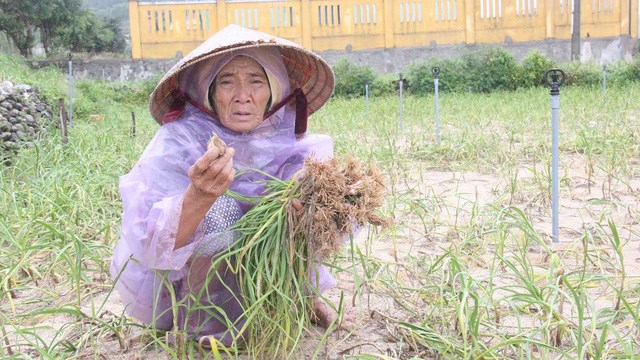 10 sự kiện kinh tế đ&#225;ng ch&#250; &#253; năm 2016 - Ảnh 7