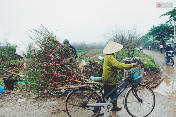  Nhiều nông dân chở hoa lên chợ Quảng Bá bán lẻ. 