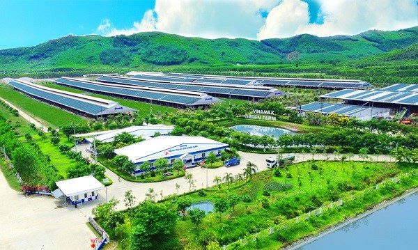 Lượng carbon trung h&ograve;a của trang trại Green Farm tương đương 30.000 s&acirc;n b&oacute;ng phủ đầy c&acirc;y xanh, lượng nước tuần ho&agrave;n tương đương 86 hồ bơi Olympic&hellip;&nbsp;