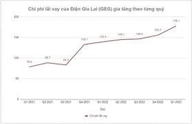 Điện Gia Lai: G&#225;nh nặng l&#227;i vay gia tăng, nợ d&#224;i hạn gấp 1,6 lần vốn chủ - Ảnh 2